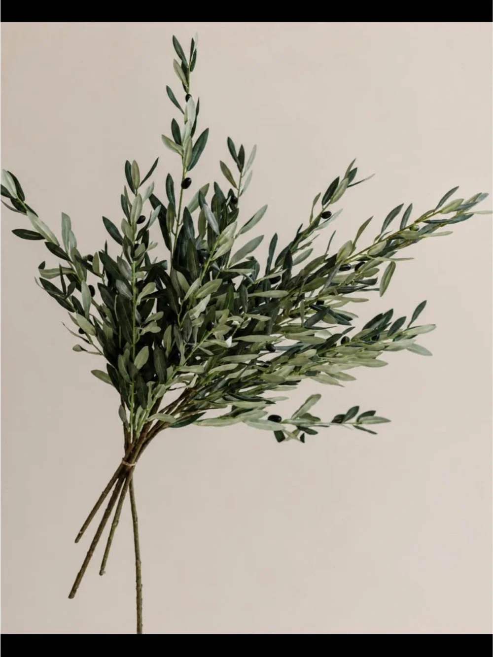 Faux Olive Branches x5